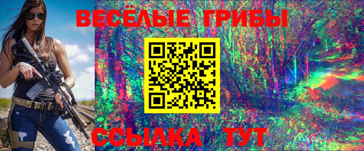 Тайшет  Псилоцибиновые грибы прущие грибы  наркошоп  Вход с VPN  Галлюциногенные грибы Cubensis 