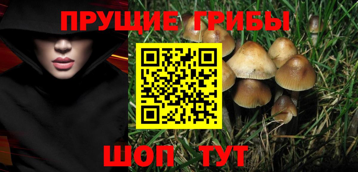 Галлюциногенные грибы прущие грибы Тайшет